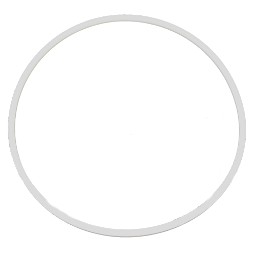 Blackmer 383801 SEAL RING - Head for SNP2 - Fast Shipping - Industrial Parts